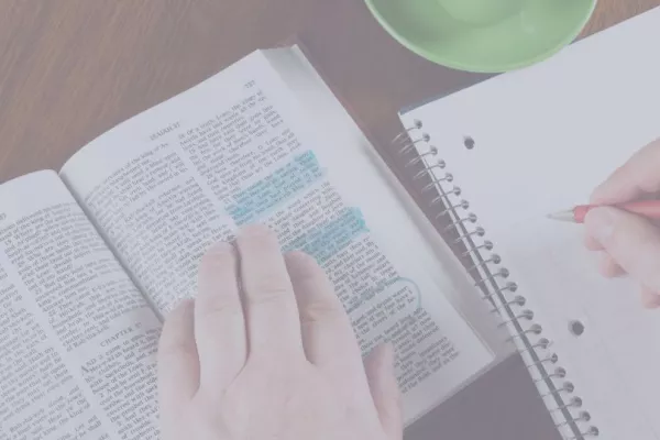 studia podyplomowe katowice